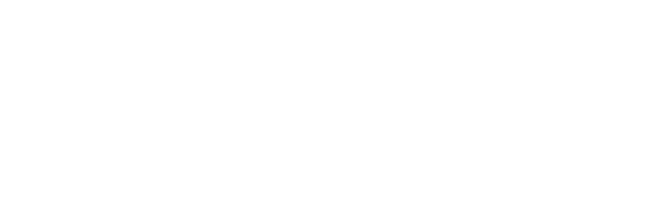 Fortis Industrial Solutions logo